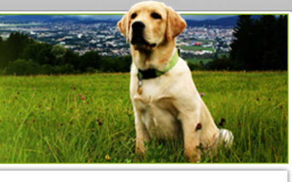 Product picture Dog Breeding (PLR)